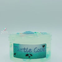 6 oz Turtle Cove Slime, Clear Slime, Unscented