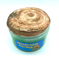 DIY Icee Slime, Mushroom Garden