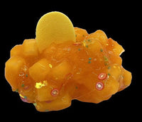 Jelly Cube Slime, Paradise Salsa