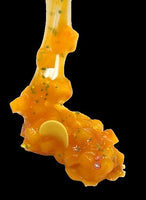 Jelly Cube Slime, Paradise Salsa