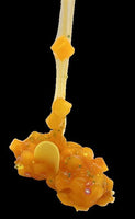 Jelly Cube Slime, Paradise Salsa