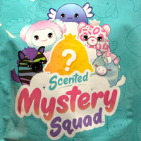Mystery Squad Squishmallows