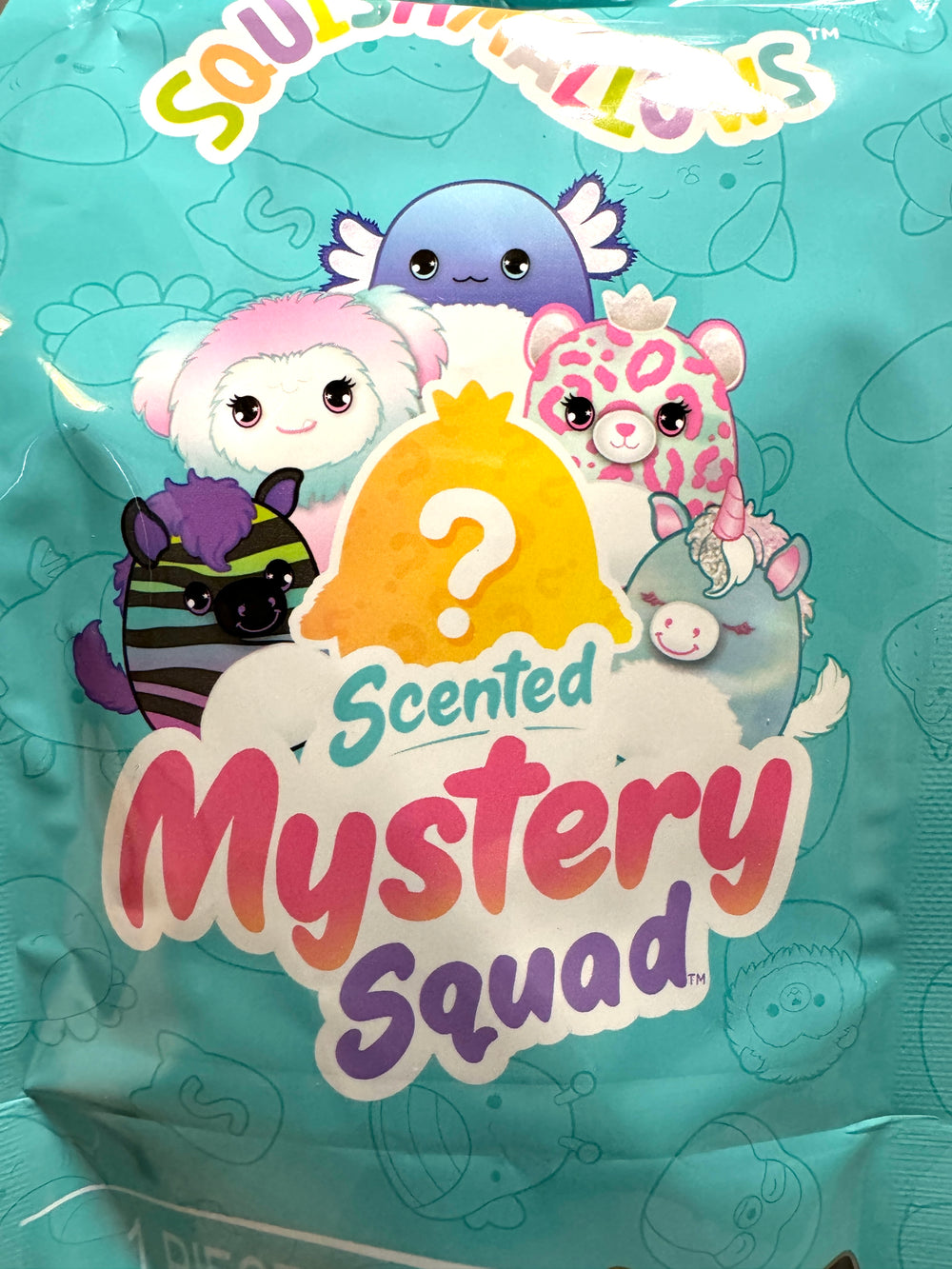 Mystery Squad Squishmallows